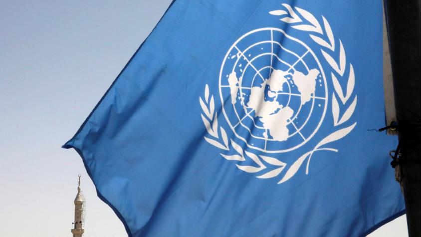 ONU alerta que disposiciones de ley Nain-Retamal “no se ajustan al derecho internacional de los derechos humanos”