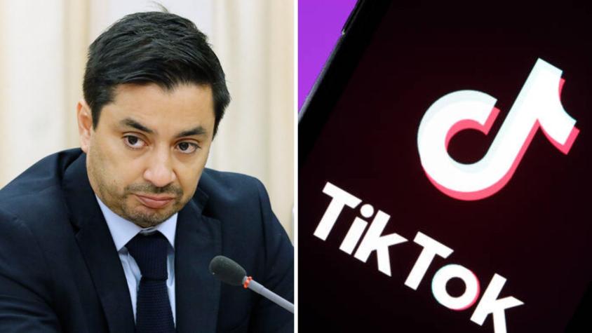 Diputado Carter anunció proyecto para restringir uso de TikTok en Chile