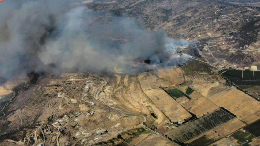 Senapred decreta alerta roja para comuna de Curicó por incendio forestal