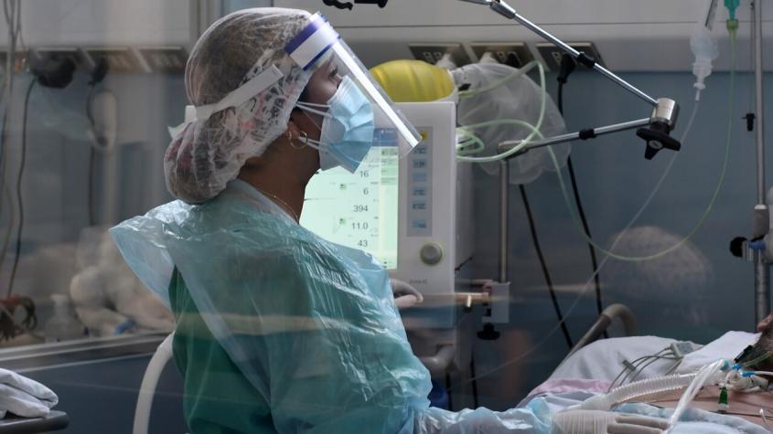 Minsal confirma primer caso humano de gripe aviar en Chile Minsal confirma primer caso humano de gripe aviar en Chile
