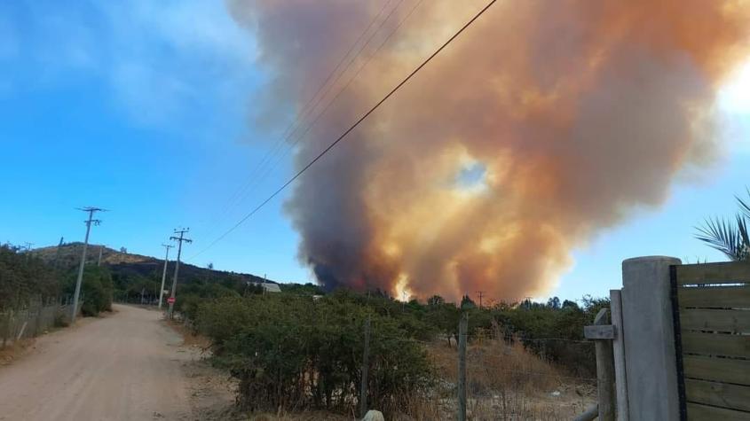 Senapred decreta alerta roja para comuna de Navidad por incendio forestal