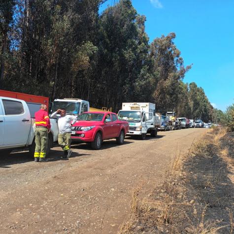 Incendio forestal en Los Sauces: Desconocidos disparan a brigadistas