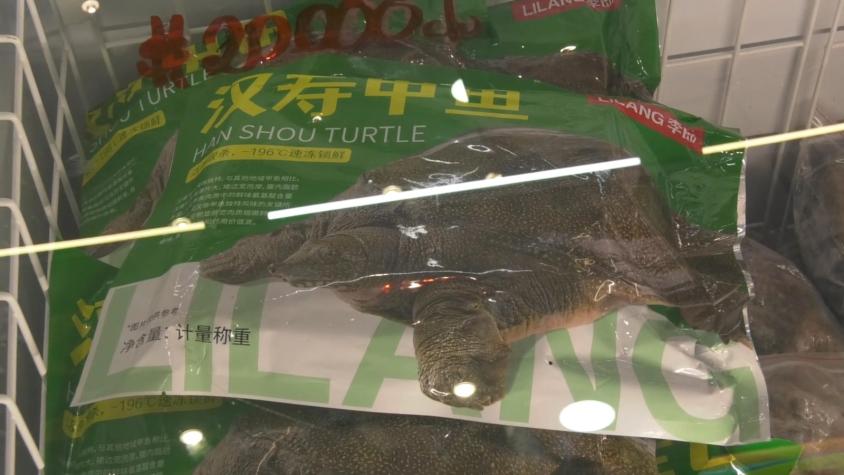 [VIDEO] En varios locales ni los vendedores sabían qué era: Supermercados chinos