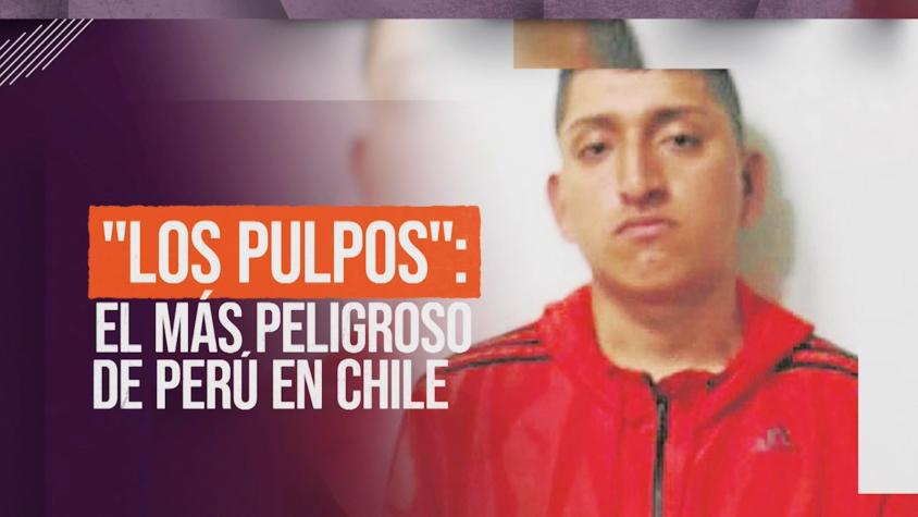 [VIDEO] Reportajes T13: Peligrosa banda peruana estaría operando en Chile; Líder es acusado de homicidios, secuestros y extorsiones