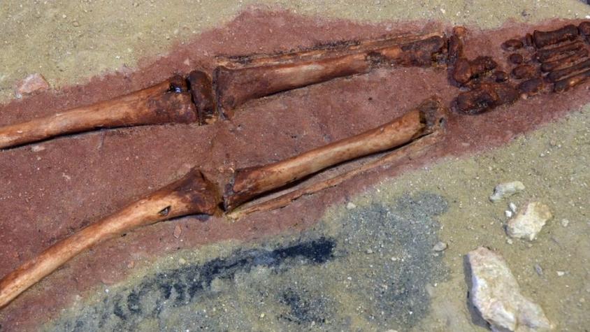 El niño de Lapedo, el esqueleto que refuerza la teoría de que los neandertales y humanos se apareaban