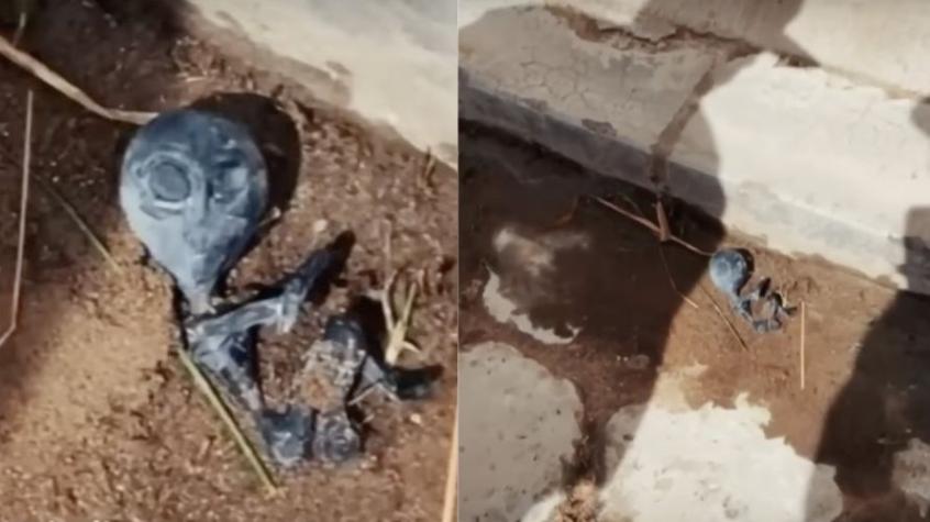 Encuentran supuesto cadáver de un alienígena en Bolivia