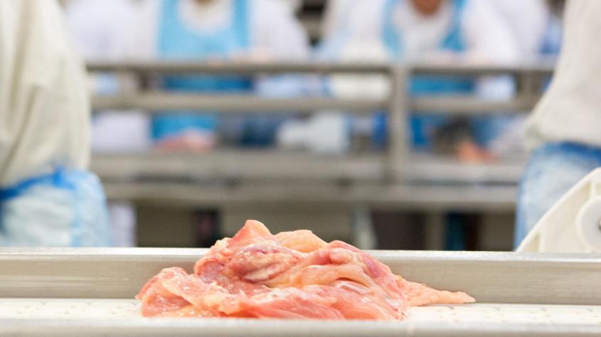 Investigadores desarrollan prueba económica, fácil y rápida para detectar la salmonella en los alimentos