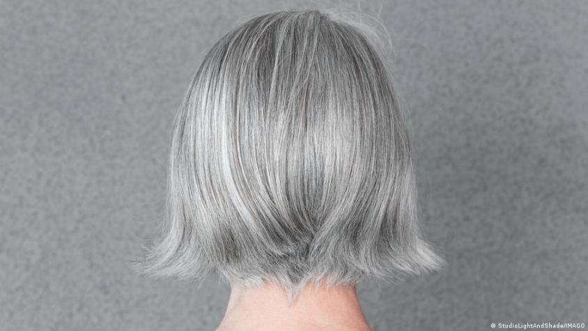 ¿Envejecer sin canas? Científicos descubren la clave biológica de por qué el pelo encanece