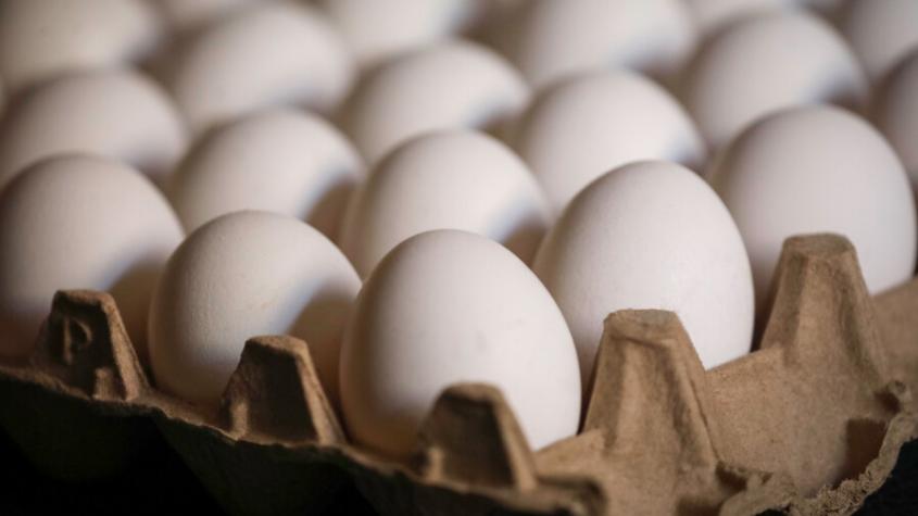 Productores de huevo niegan desabastecimiento y adjudican alto precio a costos de los insumos