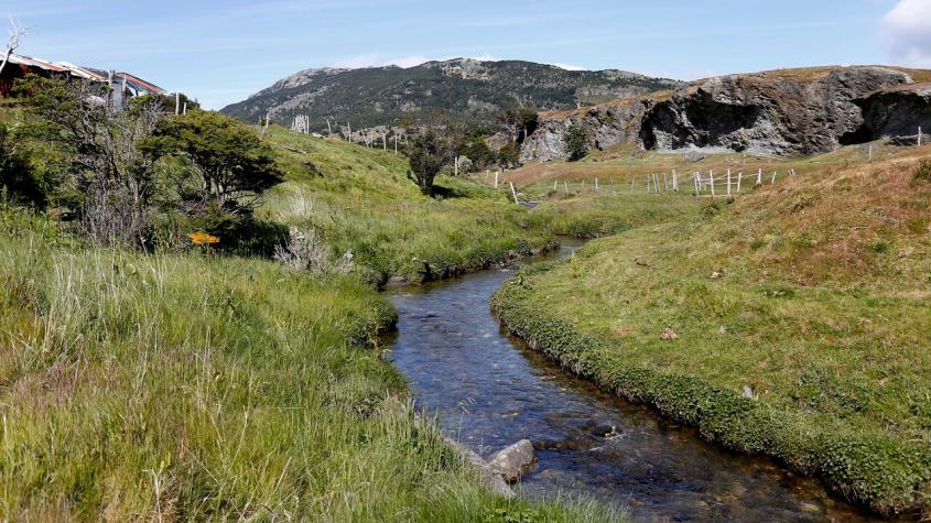 [VIDEO] Innovadora herramienta legal permite que propietarios de tierras puedan decidir protegerlas ecológicamente para siempre