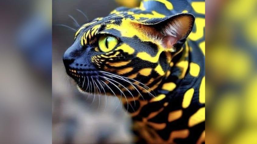 "Serpens catus": La imagen creada con IA de la "serpiente gato" que confundió a muchos en redes