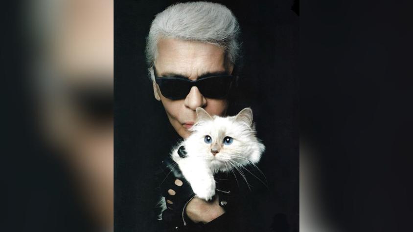 Heredó más de 300 millones de dólares: Choupette, la gata millonaria que fue invitada a la Met Gala