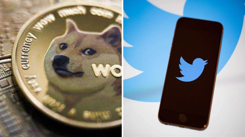 ¿Por qué aparece un perro en vez del logo de Twitter en la red social?