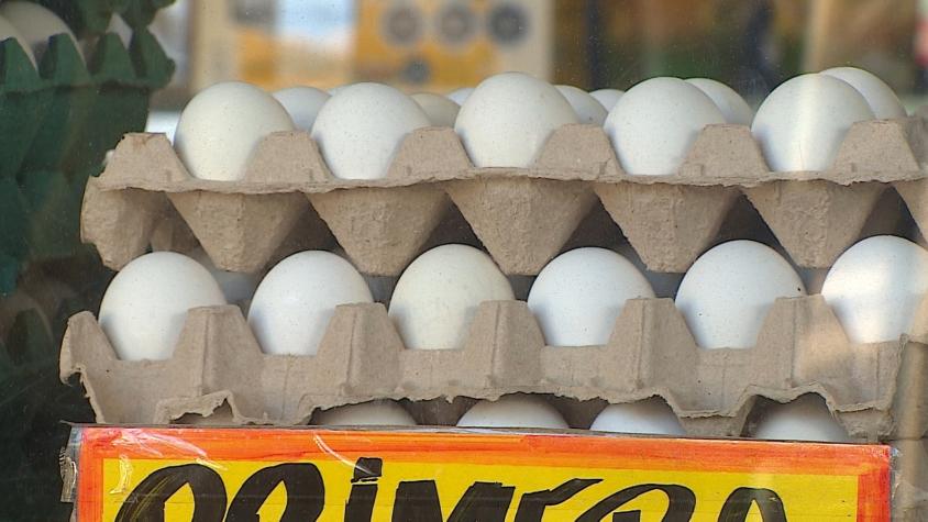 ¿Hasta cuándo subirá el precio de los huevos?: Gripe aviar podría empujar nueva alza