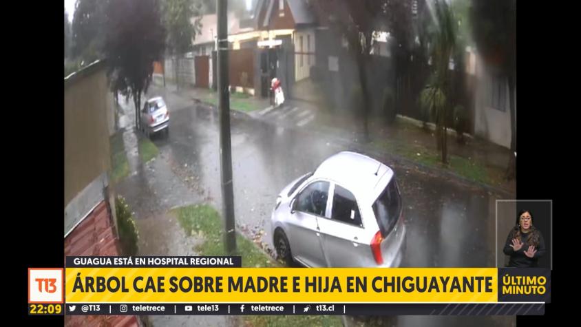 [VIDEO] Árbol cae sobre una madre e hija en Chiguayante