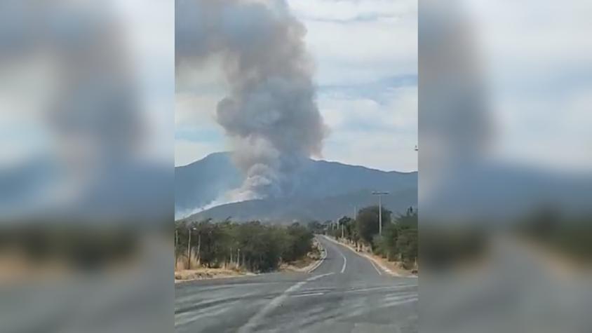 Declaran Alerta Roja para la comuna de Casablanca por incendio forestal