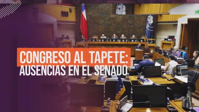 Reportajes T13: Senadores sin descuento por inasistencias, proponen cambios a reglamento interno 