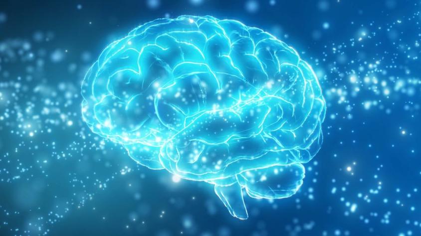 Qué es la misteriosa "zona incierta" del cerebro (y qué pistas ofrece un nueva investigación sobre ella)