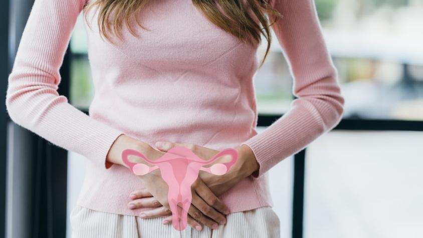 Qué es la atrofia vaginal y qué método recomiendan los médicos para su prevención