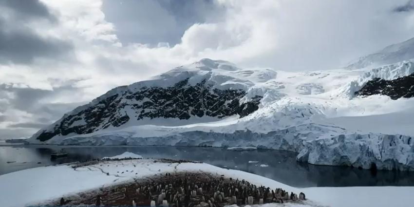 Sólo con sus teléfonos: Fotógrafos chilenos realizan inédito documental de la Antártida