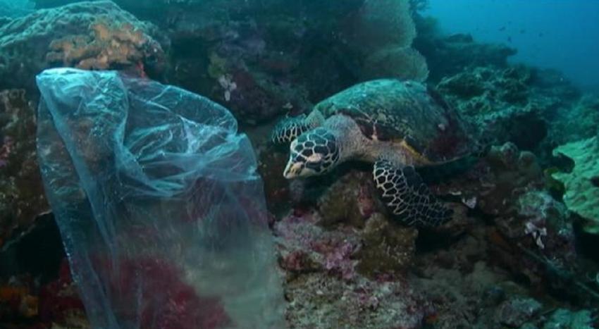 Costa Rica prohíbe bolsas y pajillas plásticas y limita las botellas