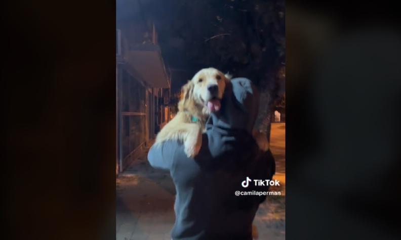Se encontró con su ex en la calle: Su perra lo reconoció y video se volvió viral