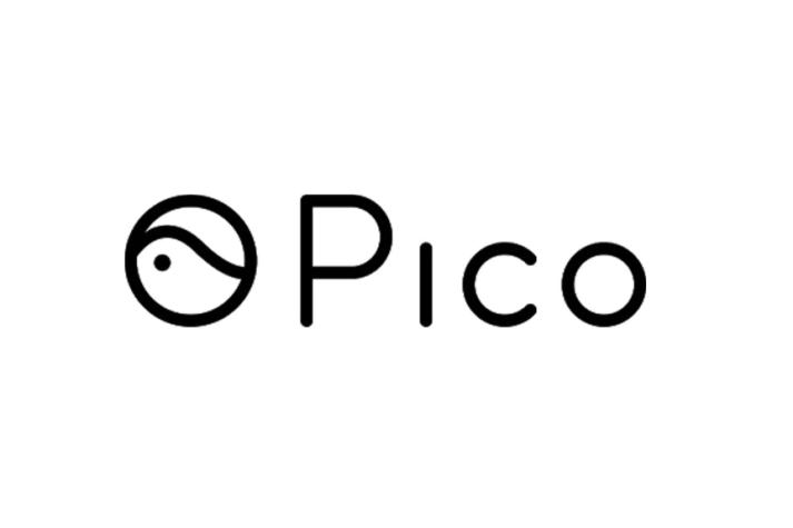 ¿Qué hace Pico Technology? La empresa china que no puede inscribir su nombre en Chile