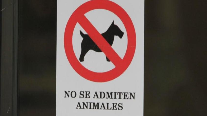 Mascotas en departamentos: ¿Cómo afecta la nueva ley de copropiedad a los tutores de animales?