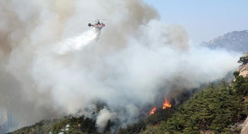 Más de 100 hogares evacuados por gran incendio forestal en Seúl