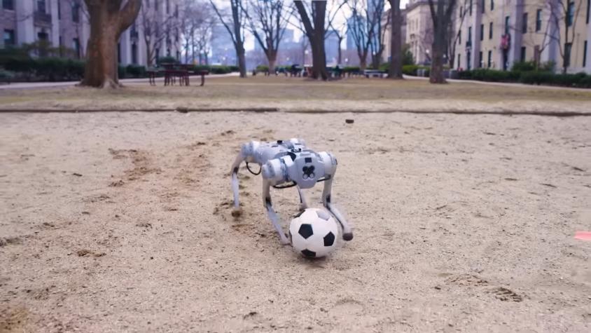 Tiembla Messi: crean un perro robot capaz de jugar a la pelota