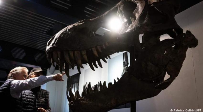 Subastan esqueleto de tiranosaurio rex por más de 6 millones de euros