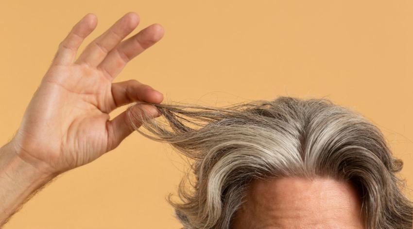 Un estudio encontró la razón por la cual el cabello se llena de canas con el tiempo