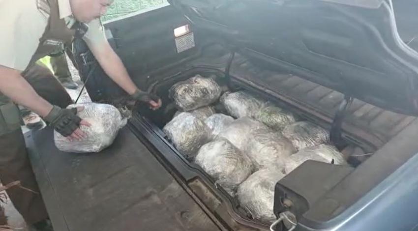Carabineros incauta 73 kilos de cannabis que intentaban ingresar a Santiago en vehículo con compartimiento secreto
