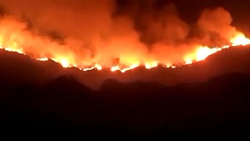 Cercano a viviendas e infraestructura crítica: Alerta roja para Papudo y Zapallar por incendio forestal