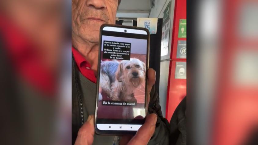 Adulto mayor pide ayuda para encontrar a su perro perdido hace cuatro días cerca del Estadio Monumental