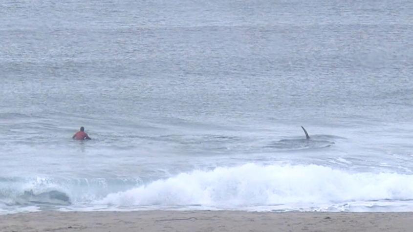 Policía dice que surfista desaparecido tras ataque de tiburón en Australia probablemente murió