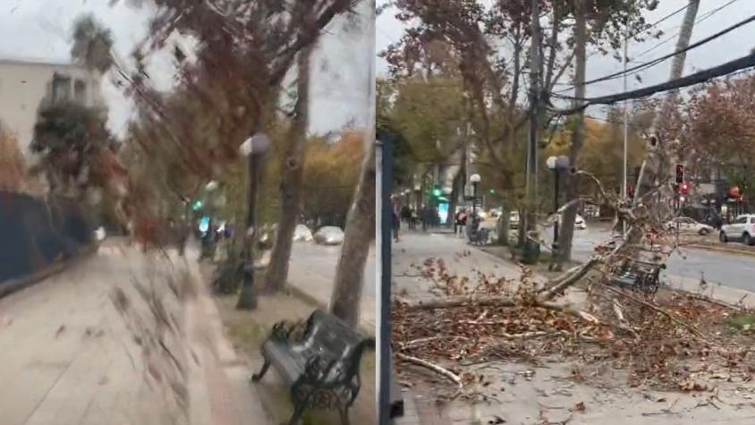 [VIDEO] "La vida me dio otra oportunidad": Persona comparte impresionante salvada tras caída de rama de un árbol