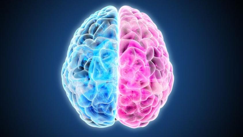 Ni la creatividad está a la derecha ni la lógica a la izquierda: el neuromito de los hemisferios cerebrales
