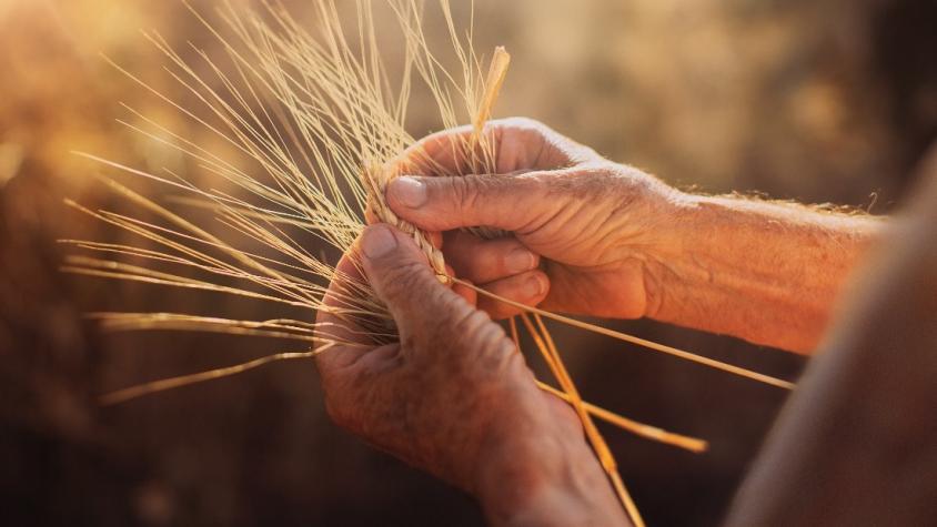 125 años de Carozzi: Compañía detalla su ambiciosa "Estrategia de Sostenibilidad"