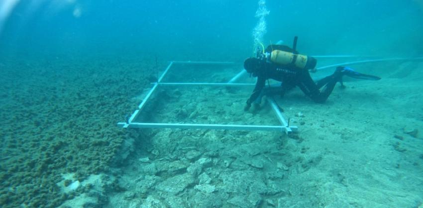 Descubren carretera 7.000 años de antigüedad en el fondo del Mar Mediterráneo 