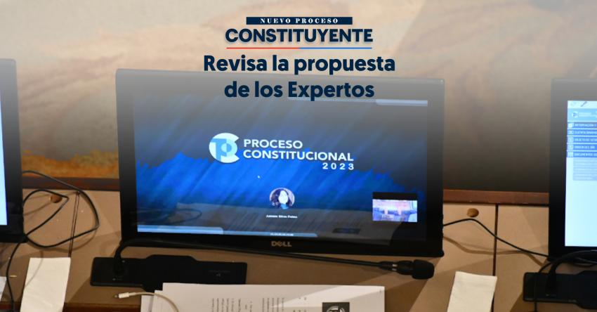 Texto de la Comisión Experta: Revisa la propuesta de Constitución con catorce capítulos y 128 páginas