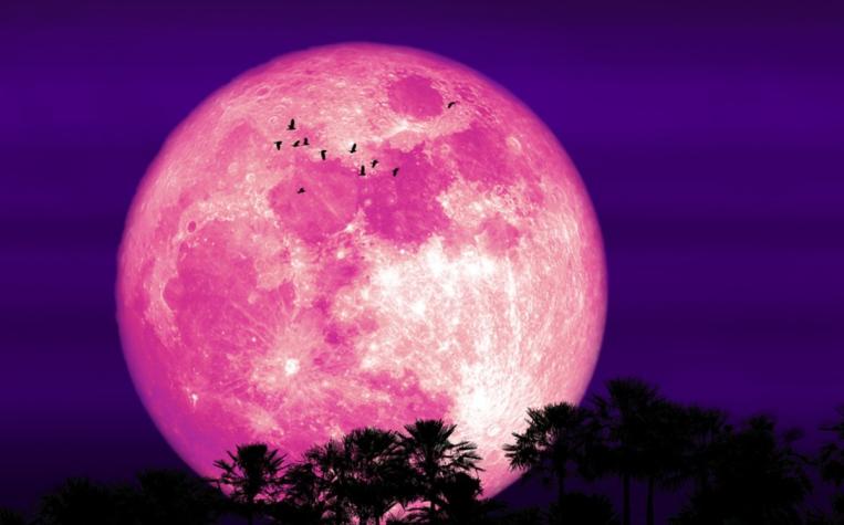 Luna de Fresa será visible en Chile: ¿Cuándo y a qué hora se puede ver?