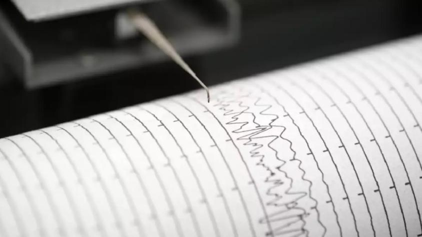 Tras terremoto en la Polinesia Francesa: SHOA estudia posibilidad de tsunami en costas de Chile 