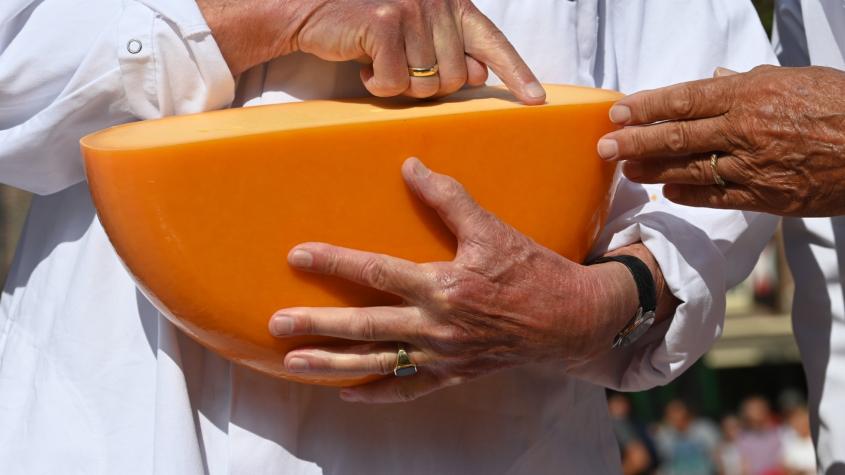 Minsal emite alerta alimentaria ante contaminación por listeria en quesos