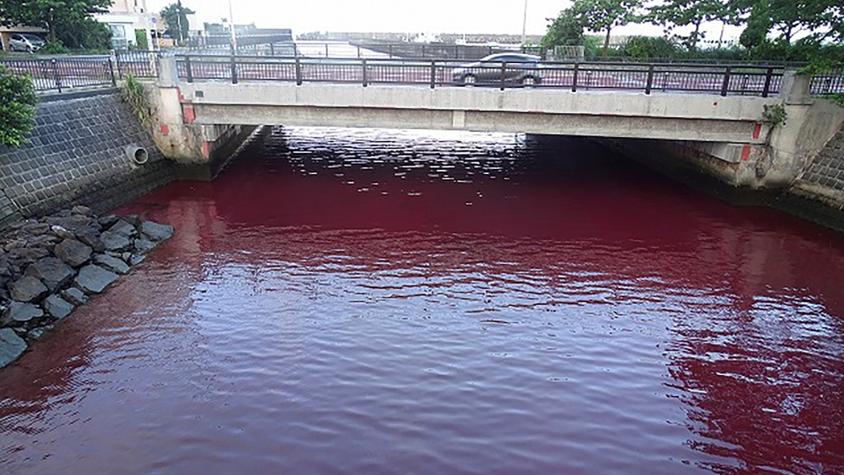 Fuga de una cerveceria japonesa torna rojas aguas de una bahía