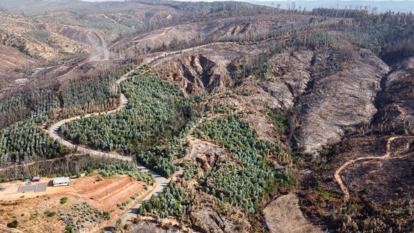 Crean "corredor biológico" de protección tras incendios forestales