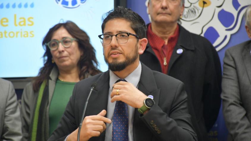 Minuta interna de la Subsecretaría de Fernando Araos revela despliegue a destiempo para enfrentar crisis sanitaria