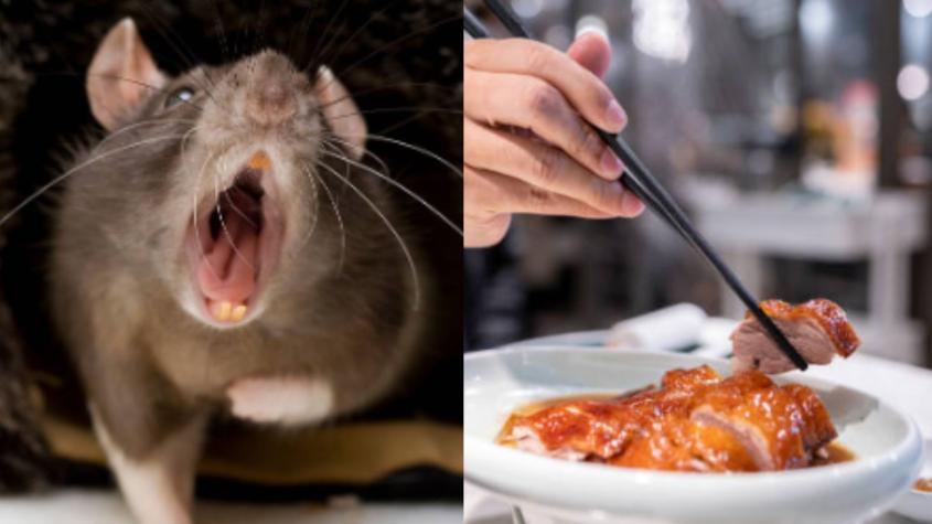 Tenía hasta los bigotes: Estudiante chino encontró cabeza de ratón en almuerzo de su universidad