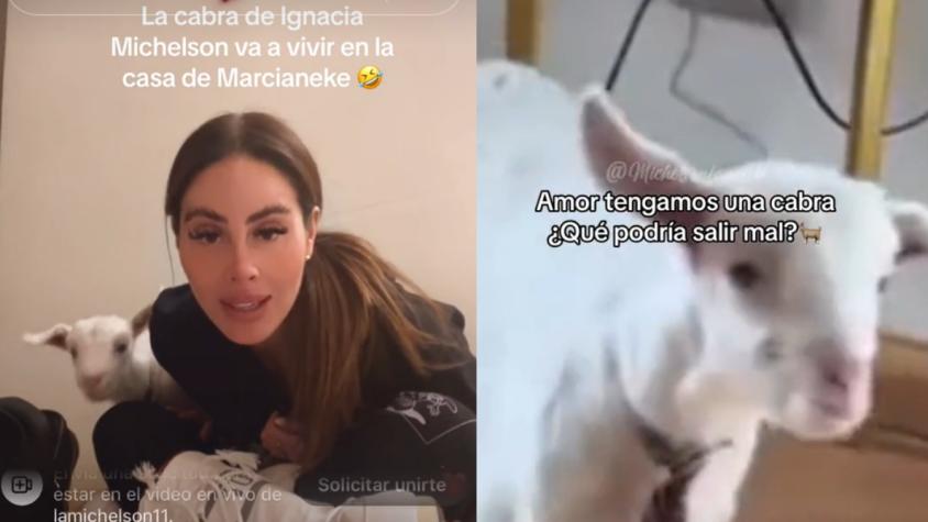 “¡Con mi play NO!”: Ignacia Michelson adopta una cabra y vivirá con Marcianeke
