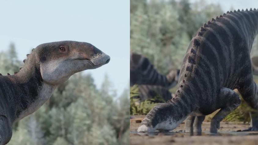 "Gonkoken nanoi": Descubren nueva especie de dinosaurio con pico de pato que vivió en la Patagonia chilena